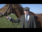 World’s first Tweed suit designed for a racing horse ahead of Cheltenham 2016