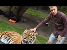 Justin Bieber Slammed by PETA for Posing With A Tiger At His Dad's Engagement Party