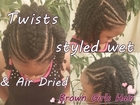 Natural Hair Twists Styled Wet & Air Dried