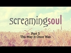 The Way It Once Was - Screaming Soul P3 - Rabbi Manis Friedman