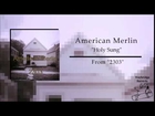 Holy Sung - American Merlin (audio)