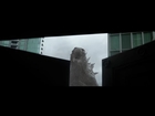Godzilla 2014 - Trailer Review Followup