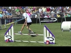 2014 IDC National Championships - Small Dog Agility