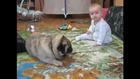 Cute Pug And Cute Baby Battle Over A Cookie