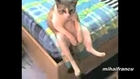 Funny Cats And Kittens Acting Like Humans Compilation