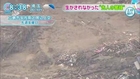 2014-08.26 「蛇落地悪谷」と呼ばれていた広島・土石流被災地―蛇が降るような大雨たびたび