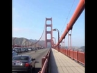 Deer Take a Walk on the Golden Gate Bridge