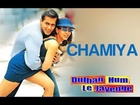 Chamiya - Dulhan Hum Le Jaayenge | Salman Khan & Karisma Kapoor | Alka Yagnik & Sonu Nigam