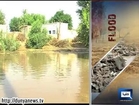 Dunya News - Flood wreaks havoc in Muzaffargarh, Uch Sharif, Shujabad and other areas