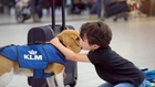 Dutch Airline Hires Adorable Dog to Reunite Passengers With Lost Items