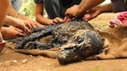 Rescuers free animal after it slipped into hot tar