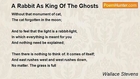 Wallace Stevens - A Rabbit As King Of The Ghosts