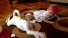 Dog teaches baby top crawl