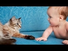 Best Babies and Animals Compilation FUNNY