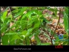 Naked Castaway 29th July 2014 Video Watch Online pt1