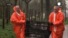 Cuarto brote de gripe aviar en Holanda