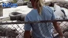 aligator eats girls hand in the zoo