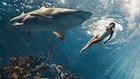 Rihanna swims with scary sharks for sexy shoot