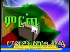 Electoral Compaigns Ethiopia -Amharic Eve News- ፓርቲዎች አማራጮቻቸውን ለማስተዋወቅ መዘጋጀታቸውን ገለፁ…የካቲት 26_2007 ዓ.ም - Ethiopian News - News -Sport News