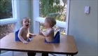 Double Trouble at Dinner Time as Twins Cause Mayhem