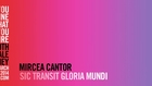 Behind-the-Scenes: Mircea Cantor's 'Sic Gloria Transit Mundi'