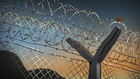 Guantánamo Bay: The Hunger Strikes | Guardian Animations