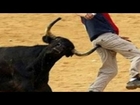 CRAZY FUNNY BULLFIGHT BLOOPERS